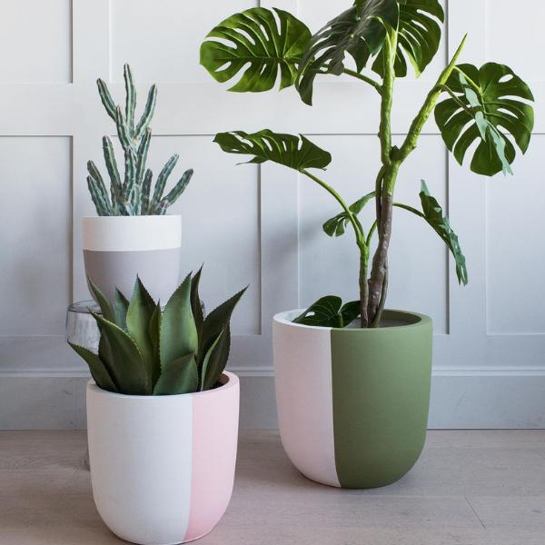 Plantas