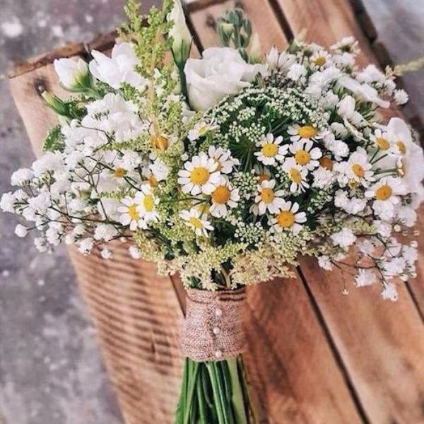 Flores