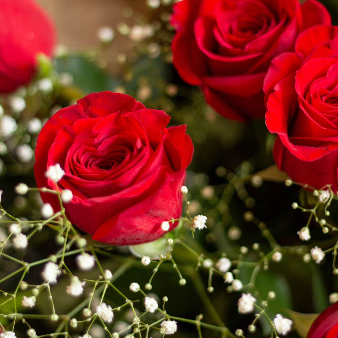 Ramo de Rosas PREMIUM (+9 Rosas a Elegir)