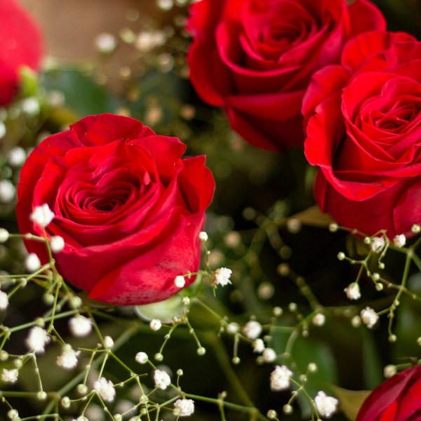 Ramo de Rosas Clásico (4-8 Rosas a Elegir)