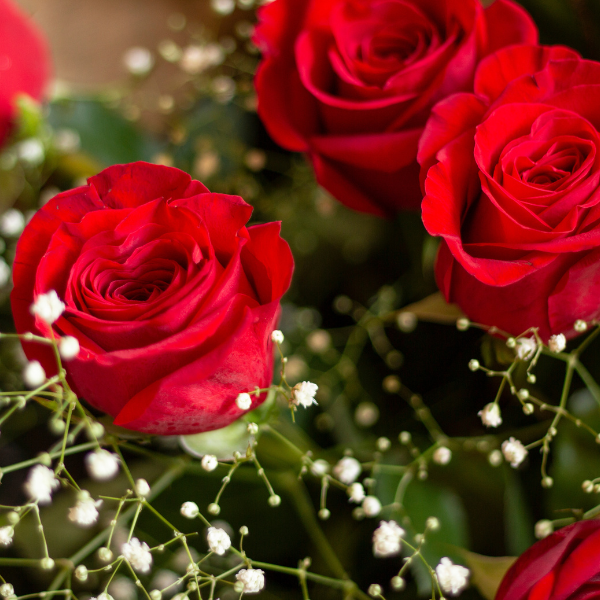 BOX Especial de Rosas Rojas
