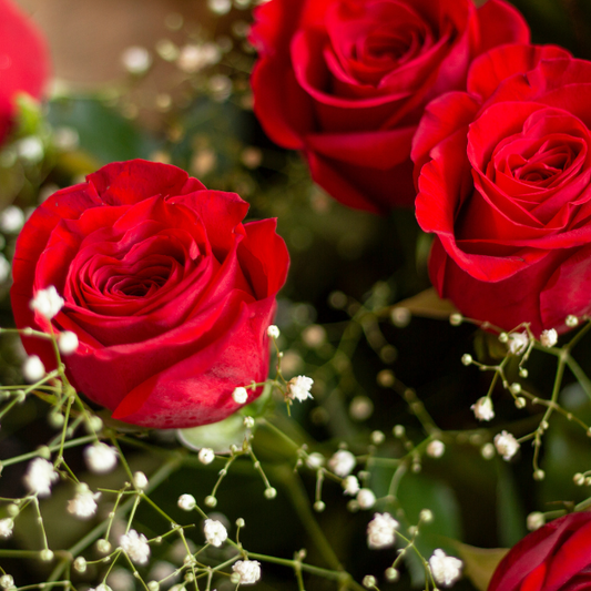 BOX Especial de Rosas Rojas