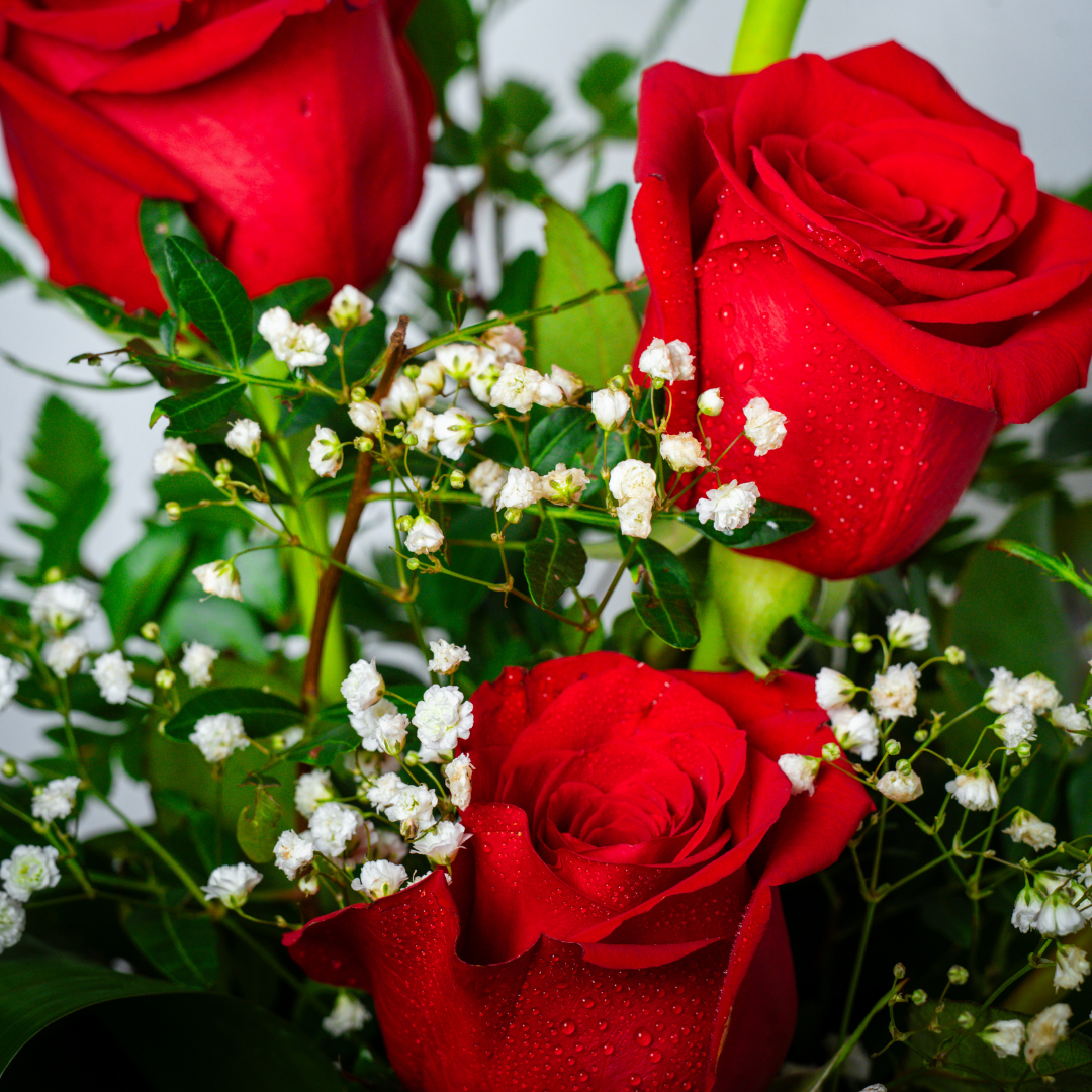 BOX Especial de Rosas Rojas